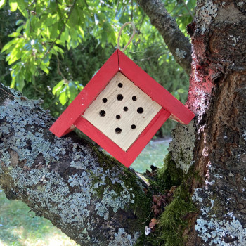 Cabane à insectes bois colorée