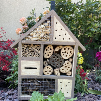 Hôtel à insectes bois colorée